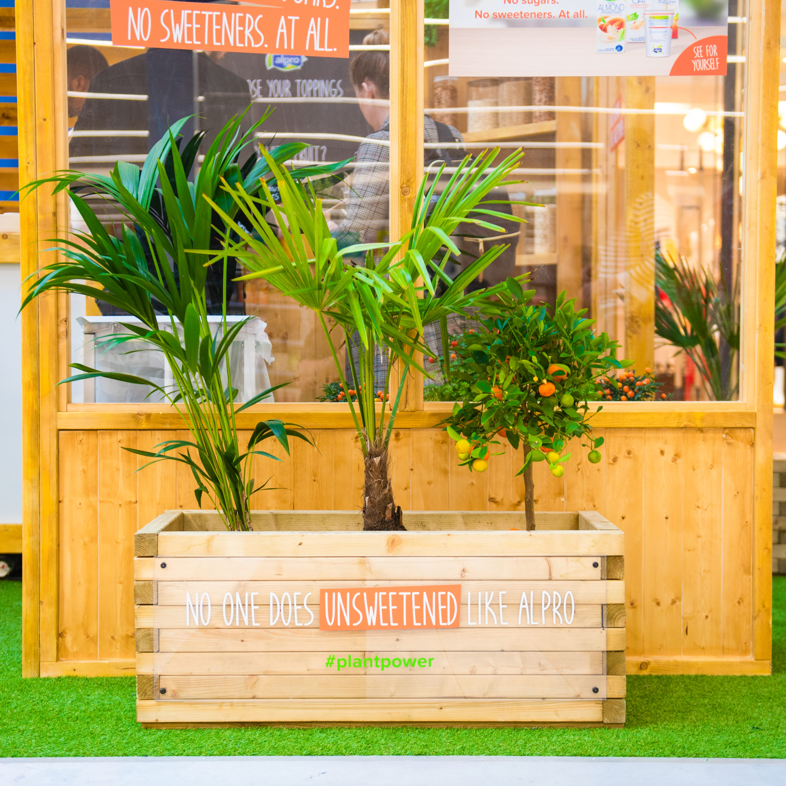 Plant in front of Alpro stand